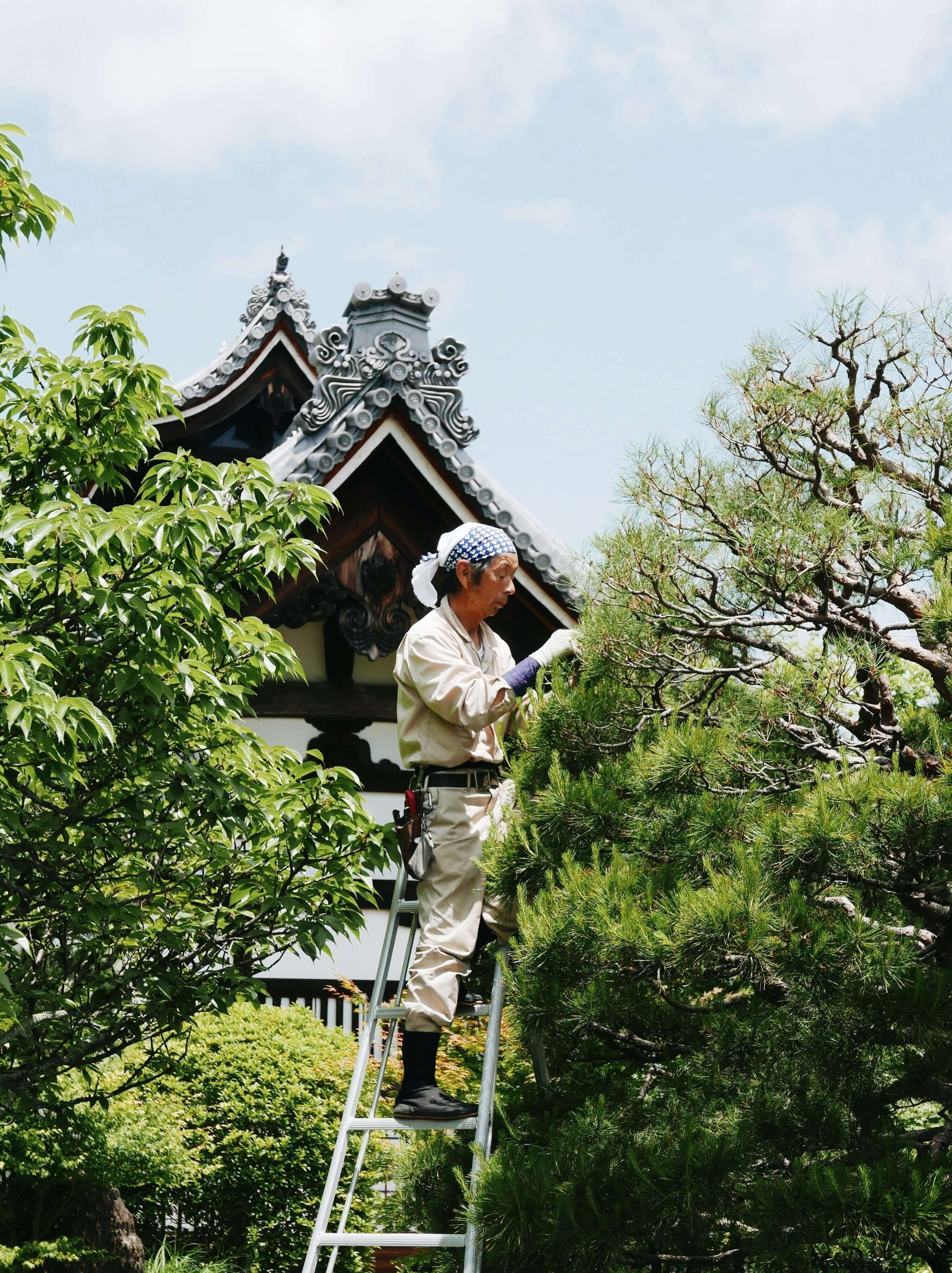 草刈り・庭木剪定